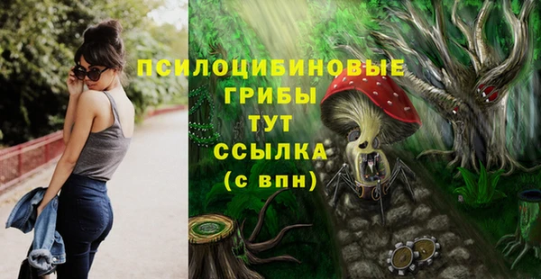мяу мяу кристалл Гусиноозёрск