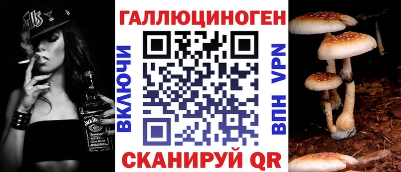 Галлюциногенные грибы Psilocybe  Купить  Знаменск 
